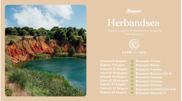 HerbandSea: Esplora i segreti di benessere e longevità mediterranea.