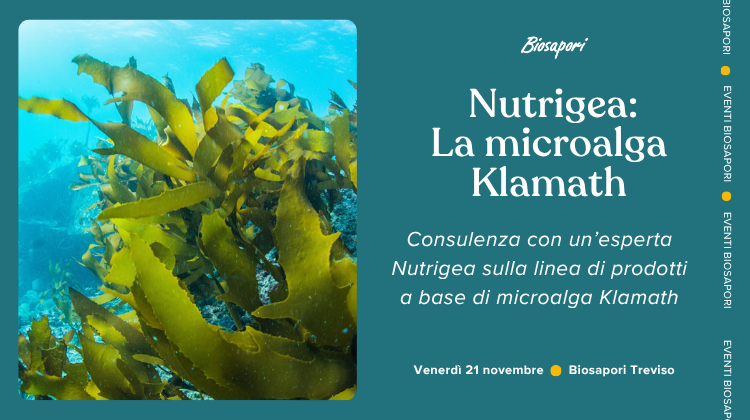 La microalga Klamath di Nutrigea La microalga Klamath di Nutrigea