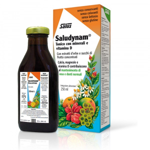 SALUDYNAM MINERAL DRINK 250 ML Salus