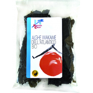 ALGHE WAKAME DELL'ATLANTICO - LA FINESTRA SUL