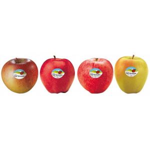 MELE VALENOSTA GALA - GOLDEN - RED DELICIOUS