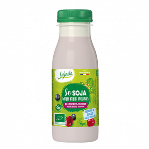 KEFIR DI SOIA AL MIRTILLO E CILIEGIA 250 GR -