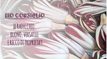 IL RADICCHIO: BUONO, VERSATILE E RICCO DI PROPRIETA’!