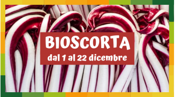 Bioscorta Dicembre