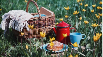 Cinque consigli per realizzare un picnic all'aria aperta 