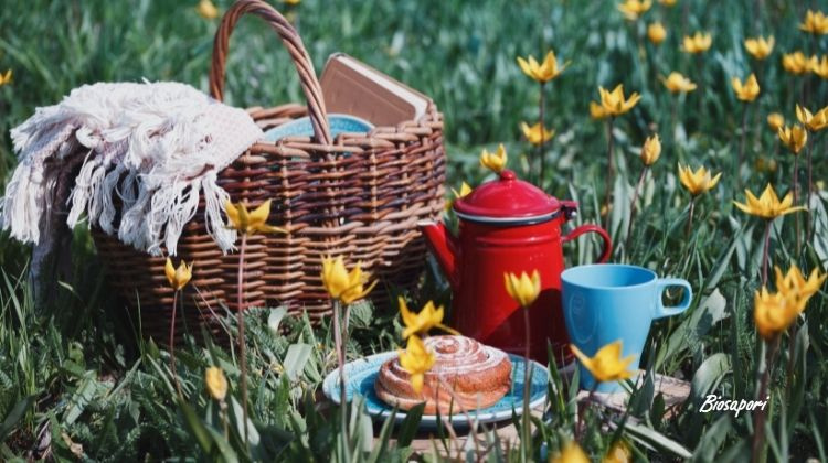 Cinque consigli per realizzare un picnic all'aria aperta 