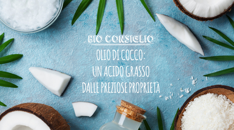 OLIO DI COCCO: TUTTE LE PROPRIETA’ DI QUESTO PREZIOSO ACIDO GRASSO.