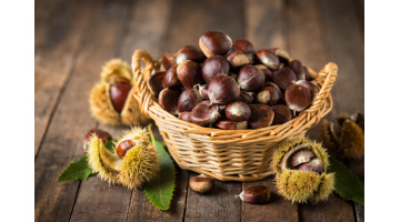 TORTA D’AUTUNNO DI CASTAGNE E NOCI