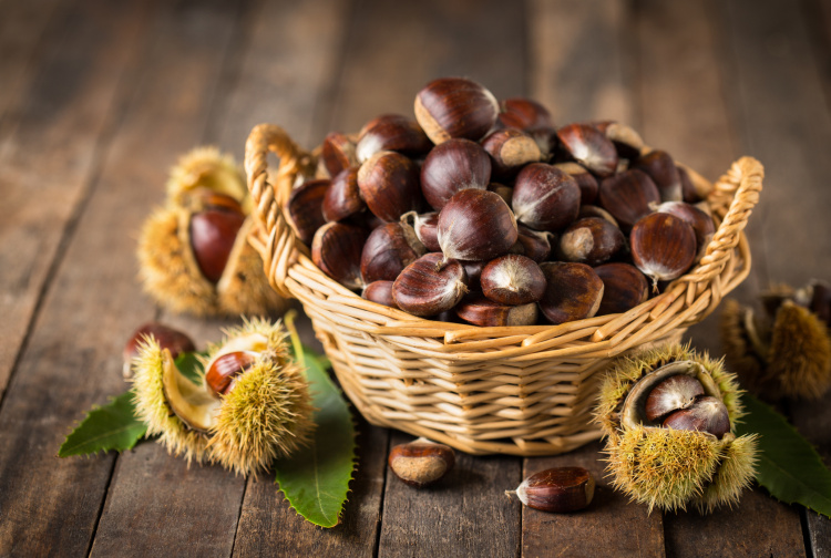 TORTA D’AUTUNNO DI CASTAGNE E NOCI