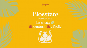 VOLANTINO SUMMER LUGLIO 2025