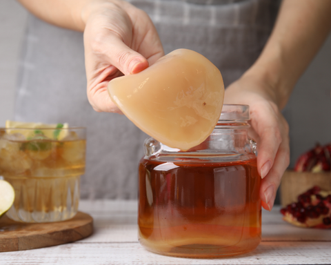 kombucha scooby