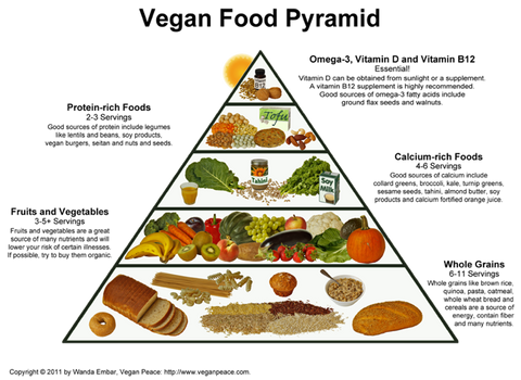 Alimentazione vegana biologica: cibi essenziali, ricette semplici e prodotti Bio&Te