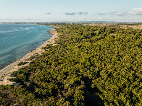 Consulenza prodotti Herbandsea