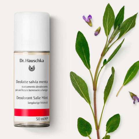 DEOLATTE SALVIA/MENTA 50ml.HAUSCHKA