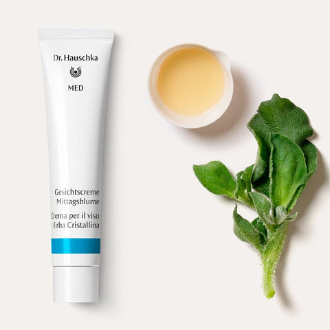 CREMA VISO ERBA CRIST.40ml.HAUSCHKA