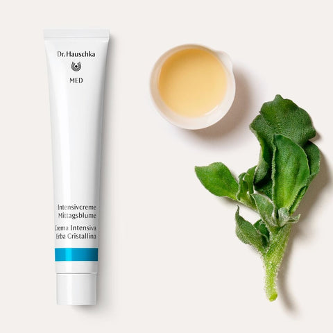 CREMA INTENS.ERBA CRIST.50ml.HAUSCHKA