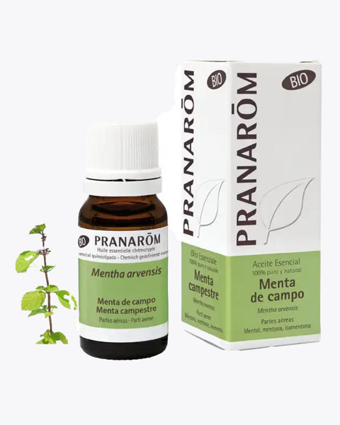 Olio Essenziale MENTA CAMPESTRE 10ml. PRANAROM