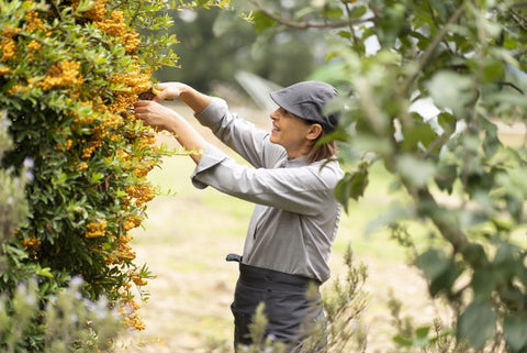 Rossella Ghibellini nel giardino taglia fiori gialli